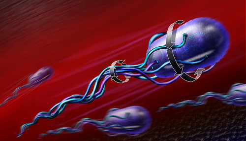 How Escherichia Coli Move