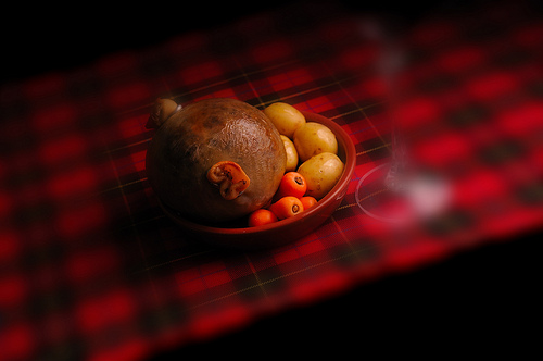 Probably the Best Picture of a Haggis Ever