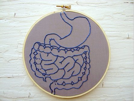 Digestive Embroidery