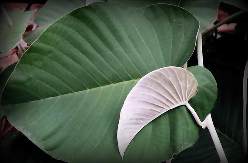 Tender love...compassion...care