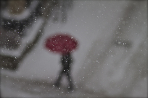 Trudging the Road of Happy Destiny