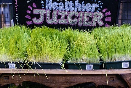 Healthier Juicier