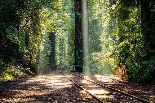 Undiscovered Mysteries