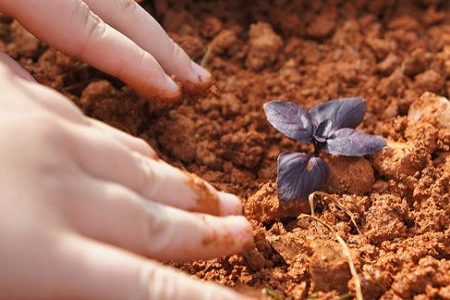 For Our Next Generation