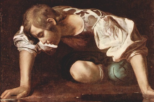 Narcissus