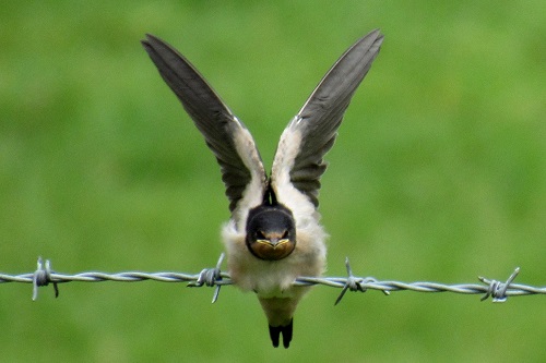 Getting Ready to Fly