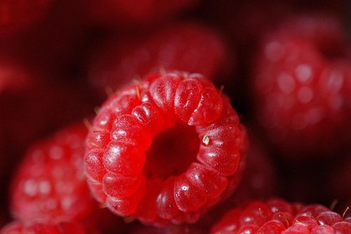 Raspberry