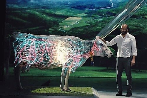 Dell's Magic Connected Dairy Cow