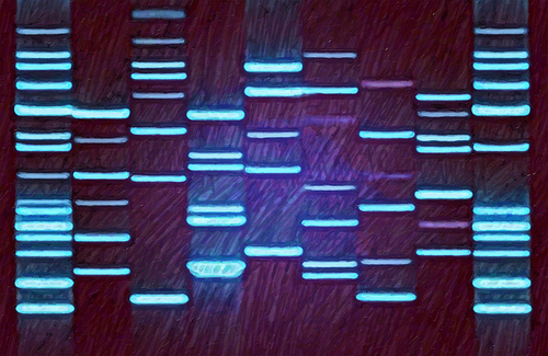 Purple Blue DNA on Canvas