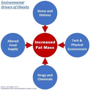 Environmental Obesity Drivers