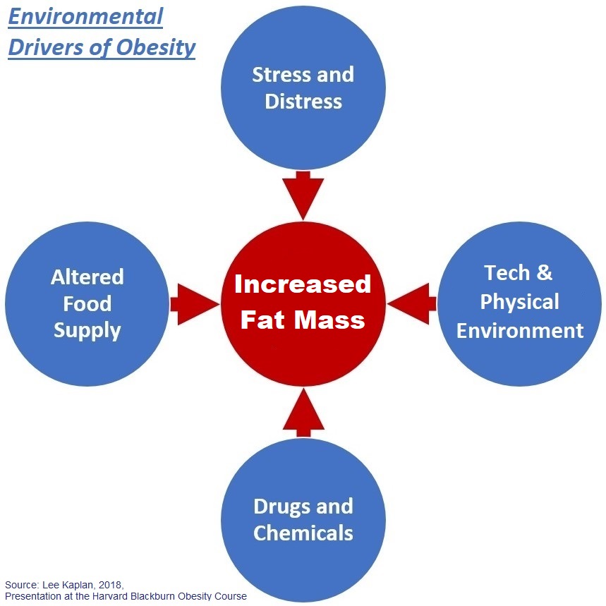 Environmental Obesity Drivers