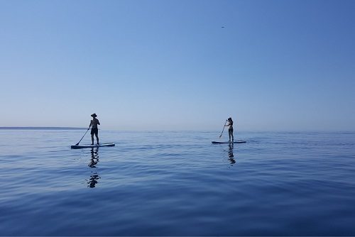 Stand Up Paddle Boarding