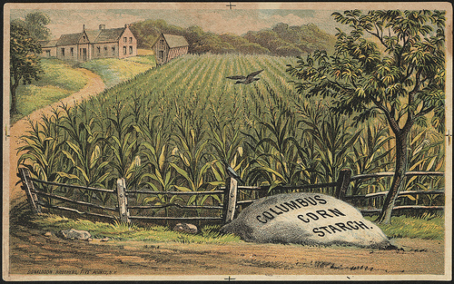 Columbus Corn Starch