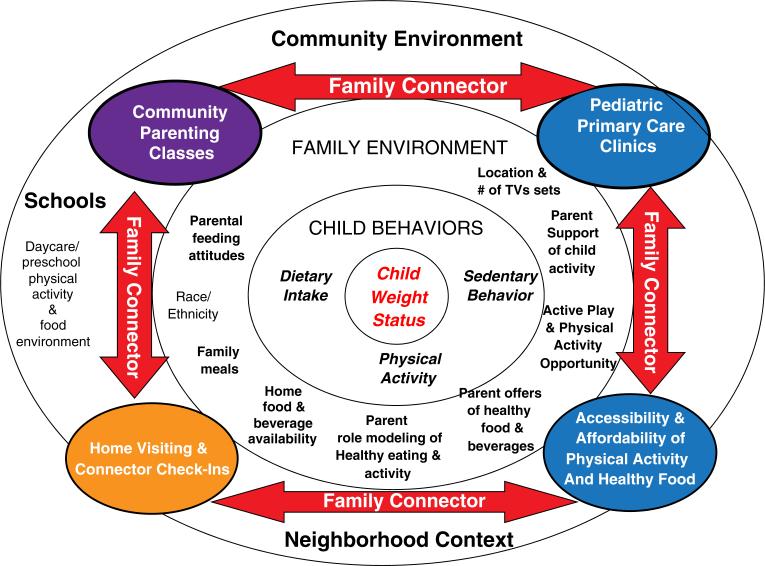 Social Ecological Model for Obesity Prevention