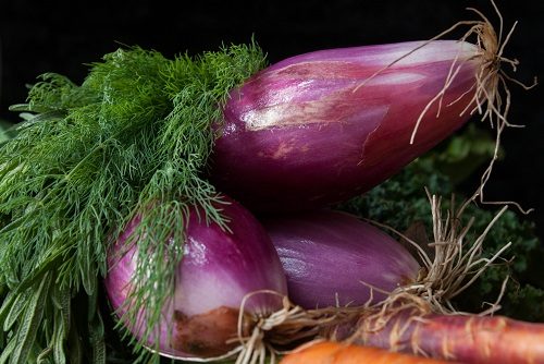 Dill, Red Onions, and Carrots