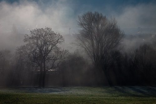 The Light Comes Gently