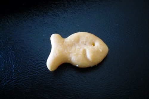 Goldfish Cracker