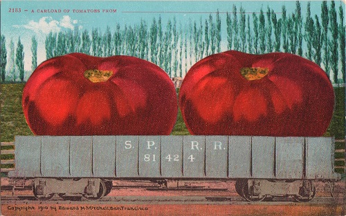 A Carload of Tomatoes
