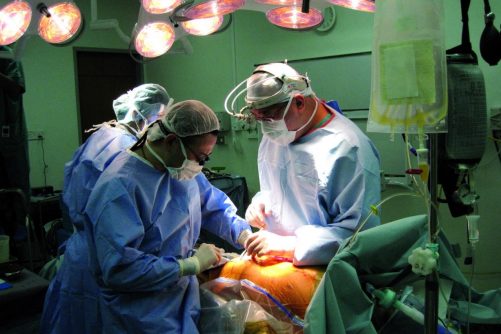 Liver Transplant Surgery