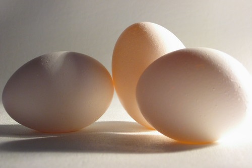 The Essence of Egg