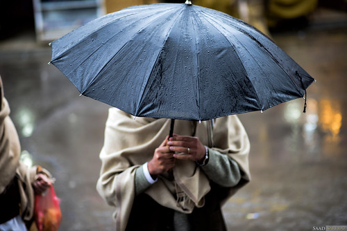 An Umbrella to Deny the Rain
