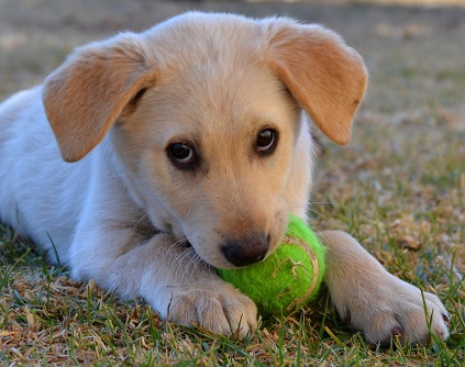 Don't Even Think About It