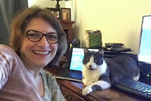 Virtual Conferencing with a Companion