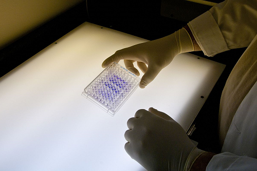 Toxicology Research at FDA