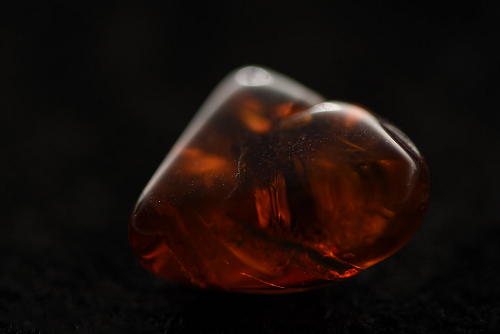 Cast in Amber