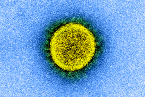 Novel Coronavirus SARS-CoV-2