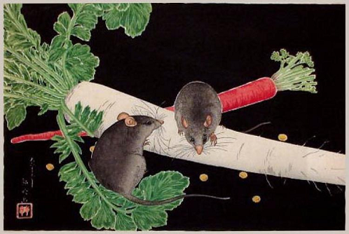 Daikon Radish, Rats, and Carrot