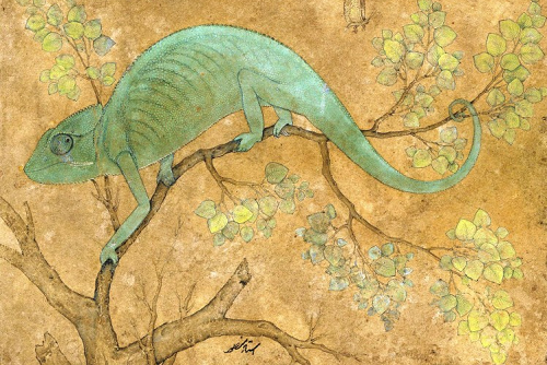 A Chameleon