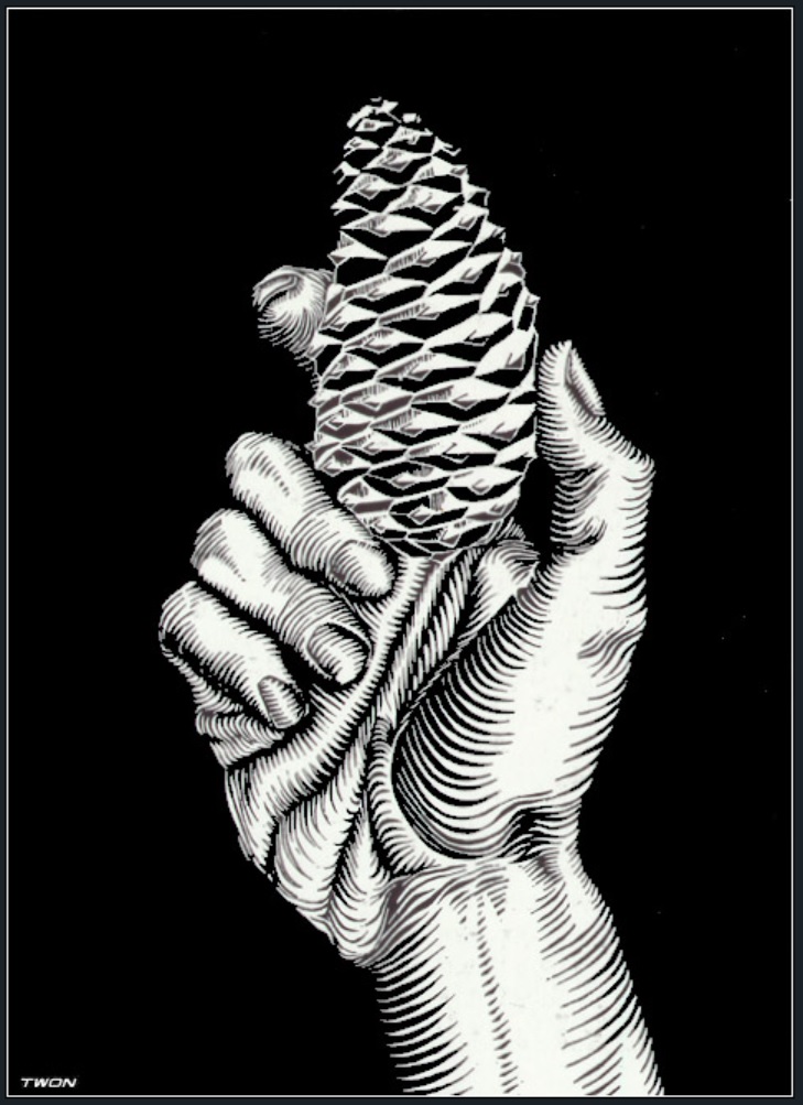 Personal Responsibility for Public Health