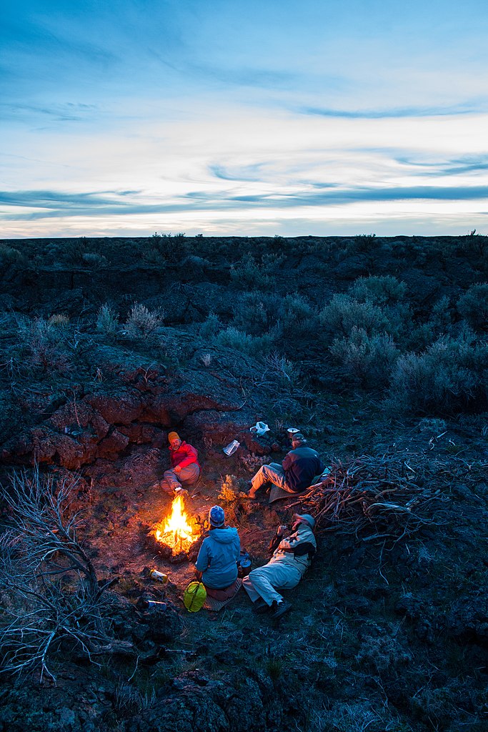 The Allure of Targeting Ultra-Processed Foods