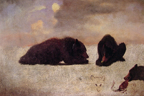 Grizzly Bears