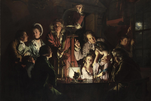 An Experiment on a Bird in the Air Pump