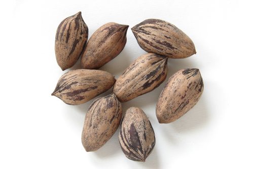 Pecans