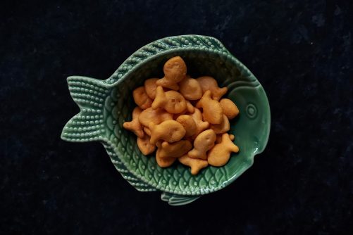 Goldfish in a Fish