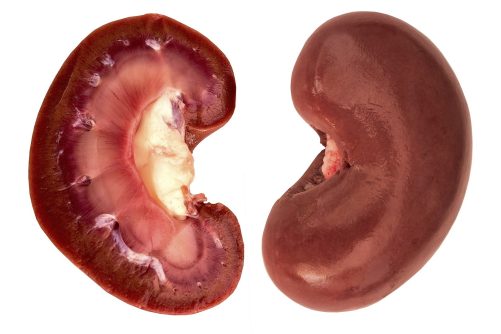 Lamb’s Kidney