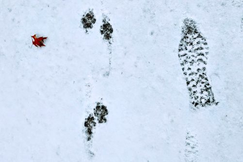 Steps, photograph by Ted Kyle / ConscienHealth