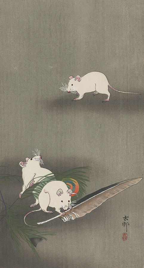 An Effect of Retatrutide on Cancer Progression in Mice?