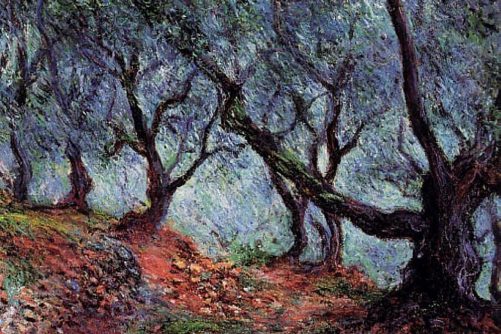 Grove of Olive Trees in Bordighera, painting by Claude Monet