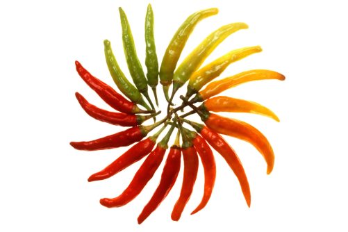 Charleston Hot Peppers, photograph by Scott Bauer