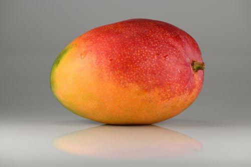 Mango, photograph by Ivar Leidus