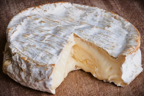 A Coulommiers Cheese Made from Unpasteurised Cow’s Milk, photograph by Myrabella