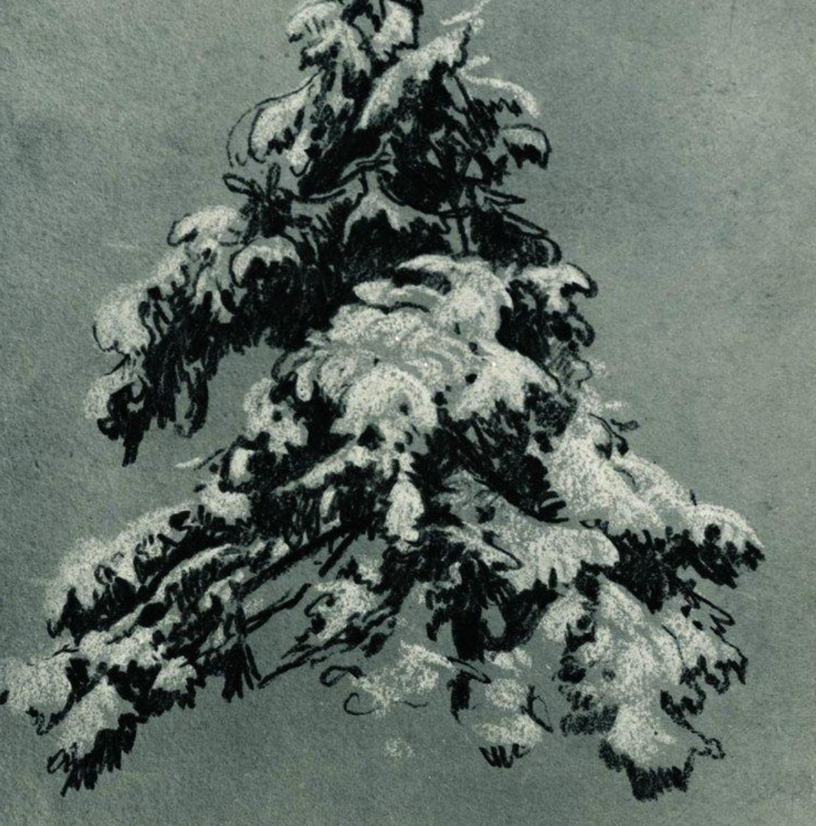 The Five Biggest Stories of 2025 in Nutrition and Physical Activity