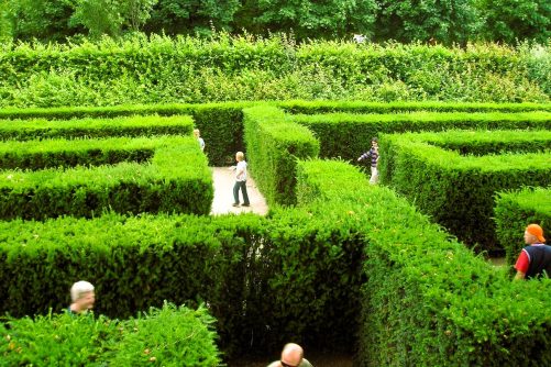 Schönbrunn Garden Labyrinth, photograph by Andrea Schaufler