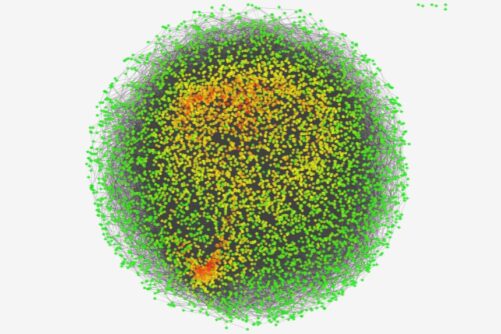 Gene Co-Expression Network, visualization by S. Mohammad H. Oloomi